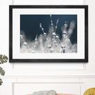 Snow white Ice blue by Sharon Johnstone on GIANT ART - white winter scenes