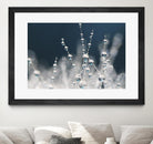 Snow white Ice blue by Sharon Johnstone on GIANT ART - white winter scenes