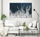 Snow white Ice blue by Sharon Johnstone on GIANT ART - white winter scenes