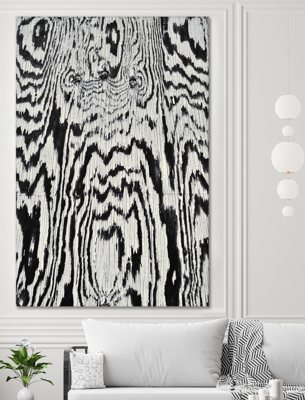 Zebra by Caleb Troy on GIANT ART - white abstract