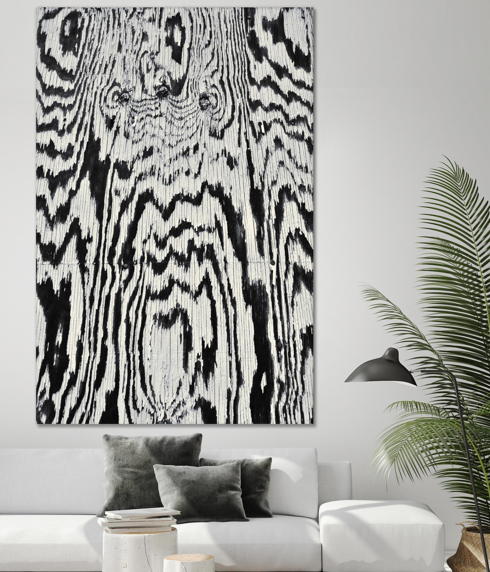 Zebra by Caleb Troy on GIANT ART - white abstract