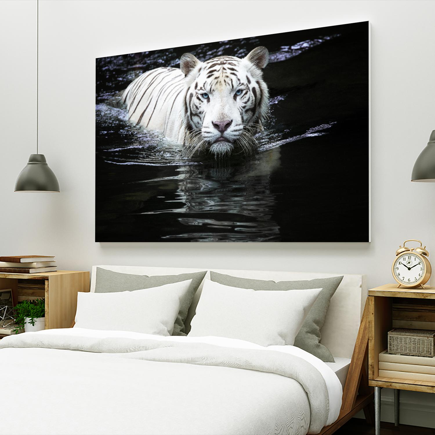 Doyle - Looking at Me Looking at You by 1X on GIANT ART - white photo art