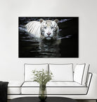 Doyle - Looking at Me Looking at You by 1X on GIANT ART - white photo art