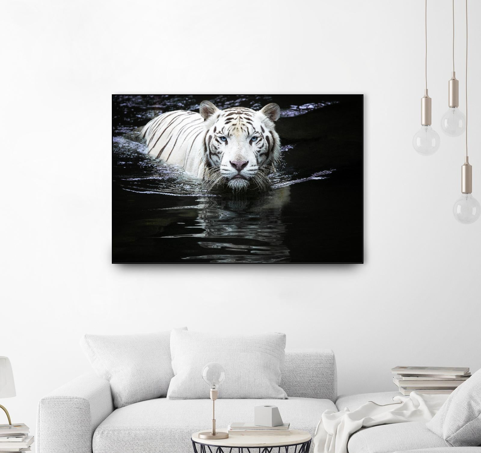 Doyle - Looking at Me Looking at You by 1X on GIANT ART - white photo art