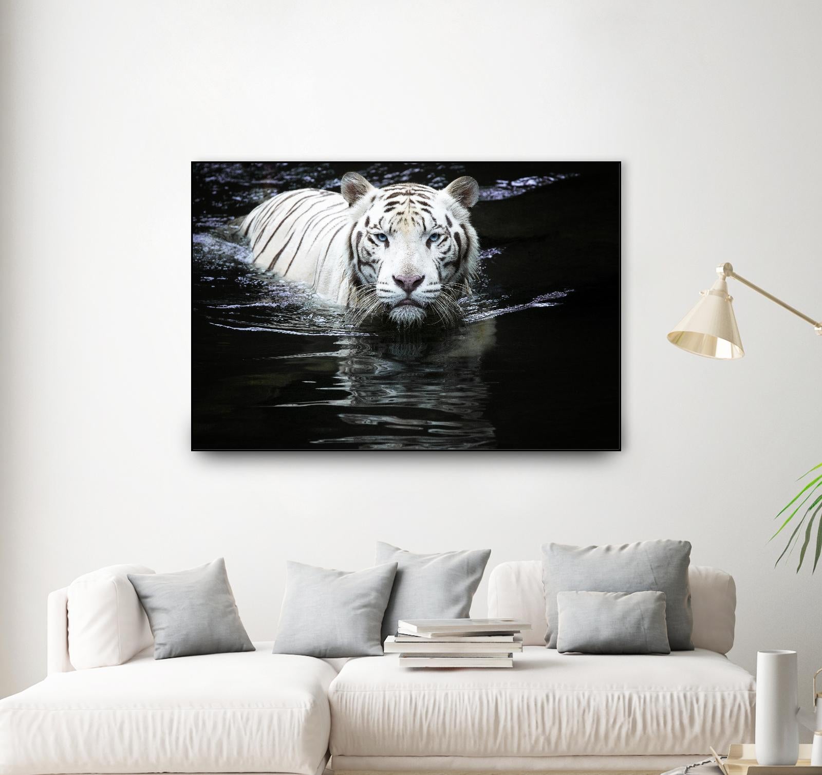 Doyle - Looking at Me Looking at You by 1X on GIANT ART - white photo art