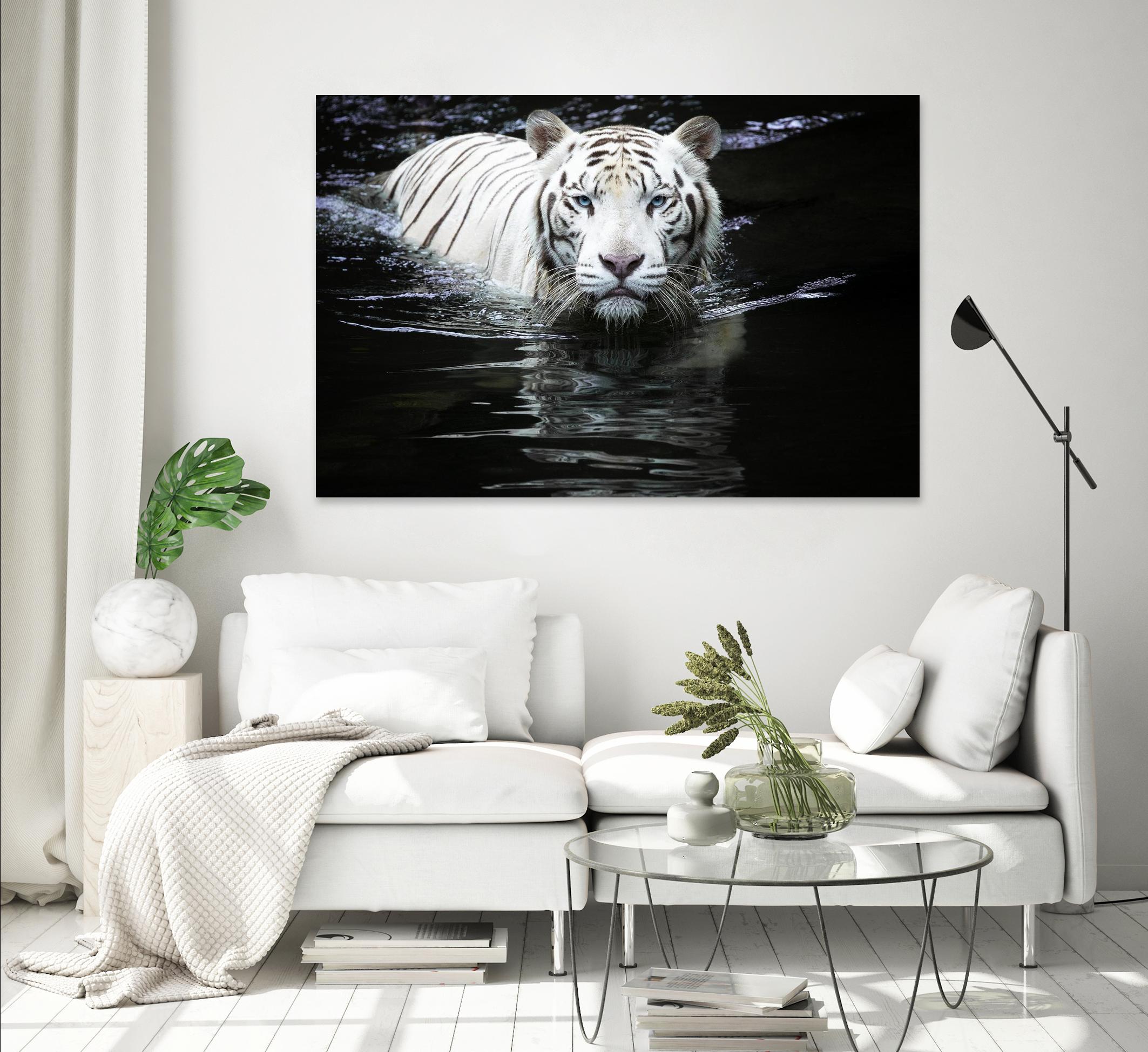 Doyle - Looking at Me Looking at You by 1X on GIANT ART - white photo art