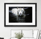 Doyle - Looking at Me Looking at You by 1X on GIANT ART - white photo art