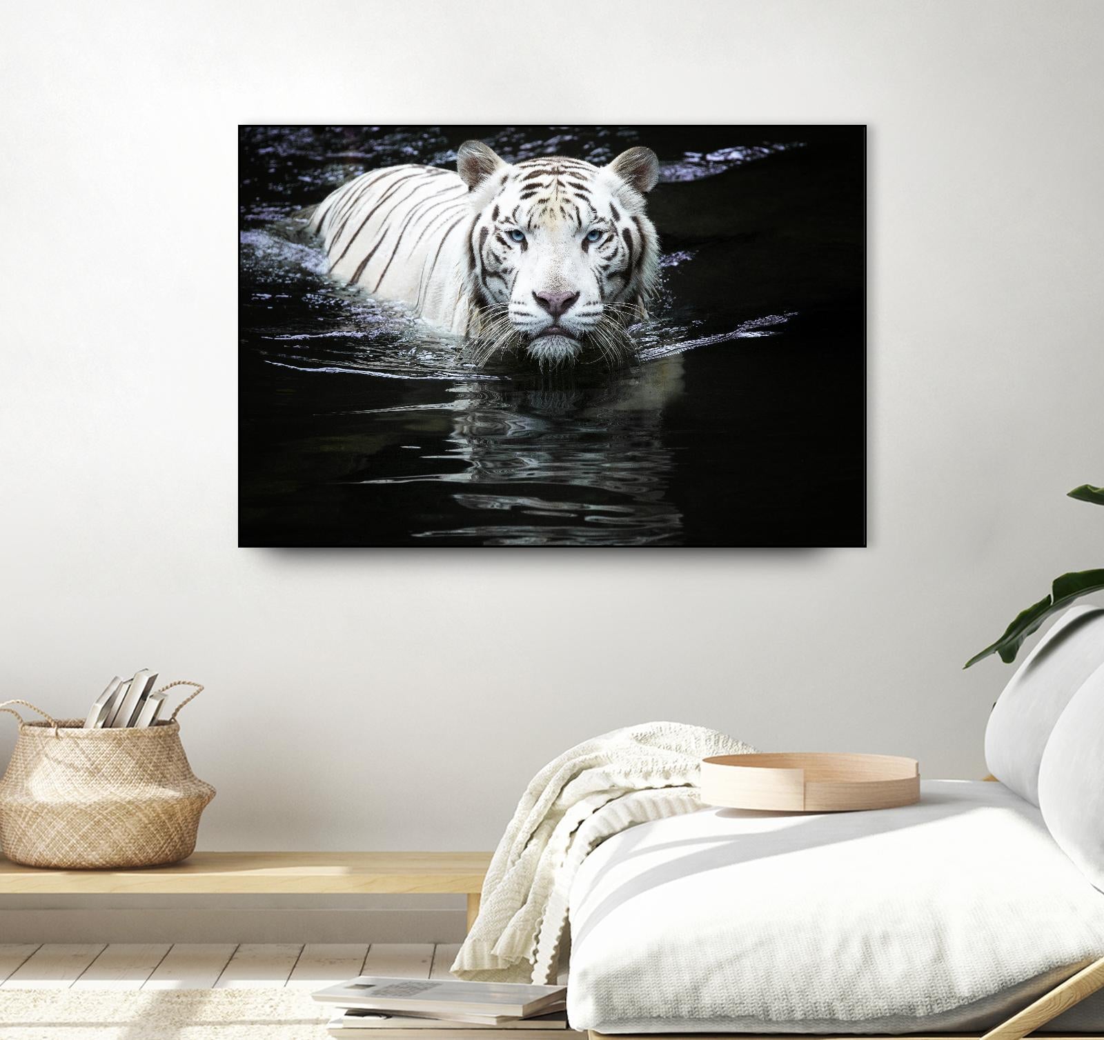 Doyle - Looking at Me Looking at You by 1X on GIANT ART - white photo art