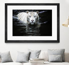 Doyle - Looking at Me Looking at You by 1X on GIANT ART - white photo art