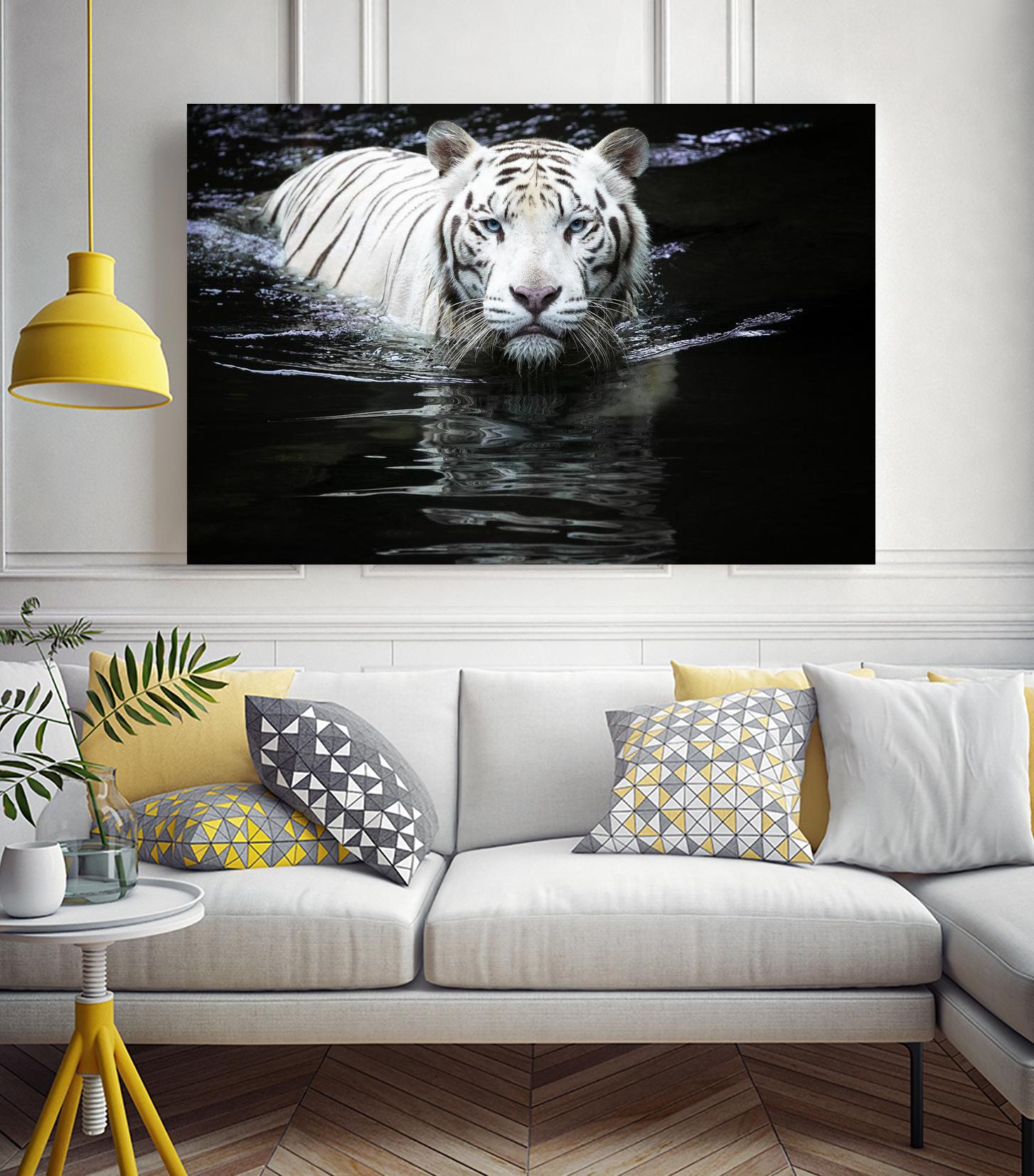 Doyle - Looking at Me Looking at You by 1X on GIANT ART - white photo art