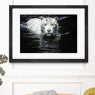 Doyle - Looking at Me Looking at You by 1X on GIANT ART - white photo art