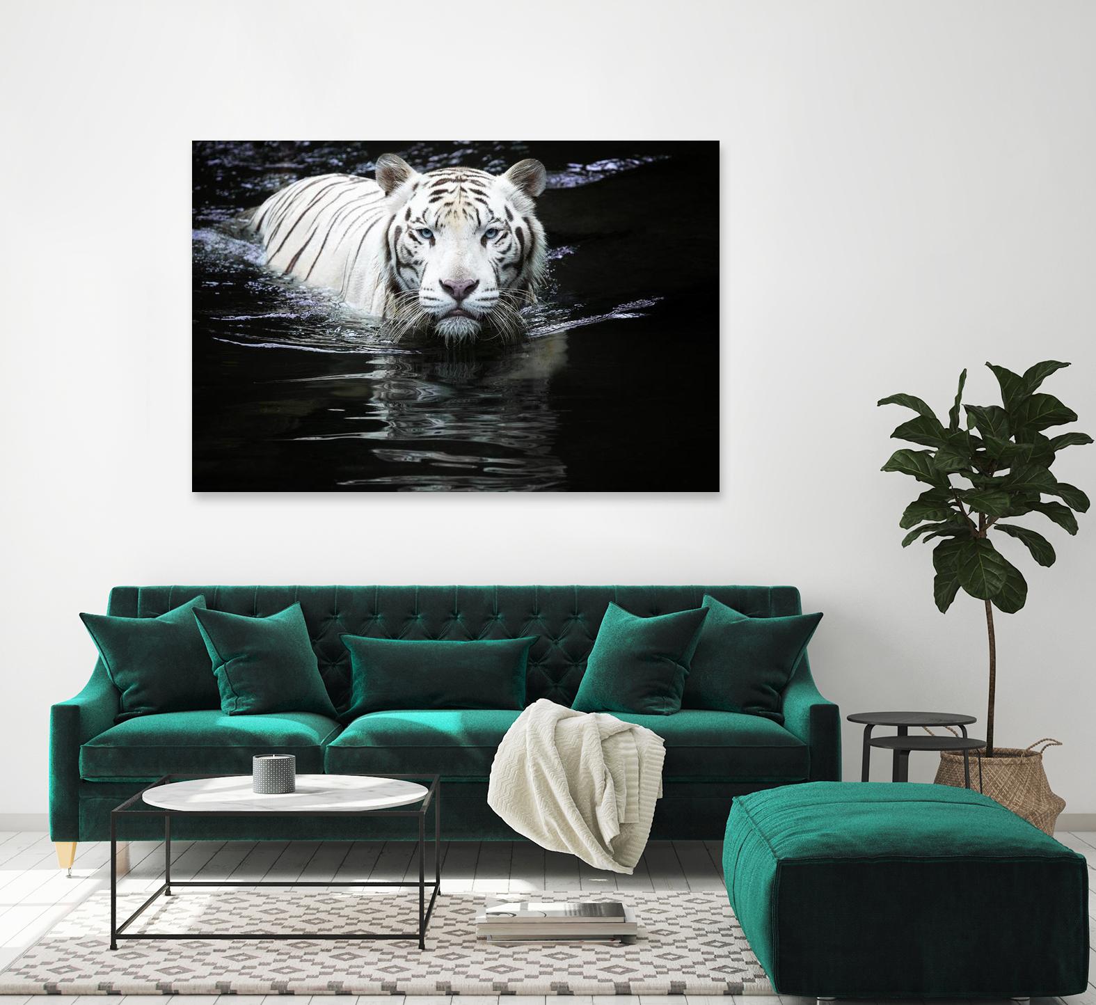 Doyle - Looking at Me Looking at You by 1X on GIANT ART - white photo art