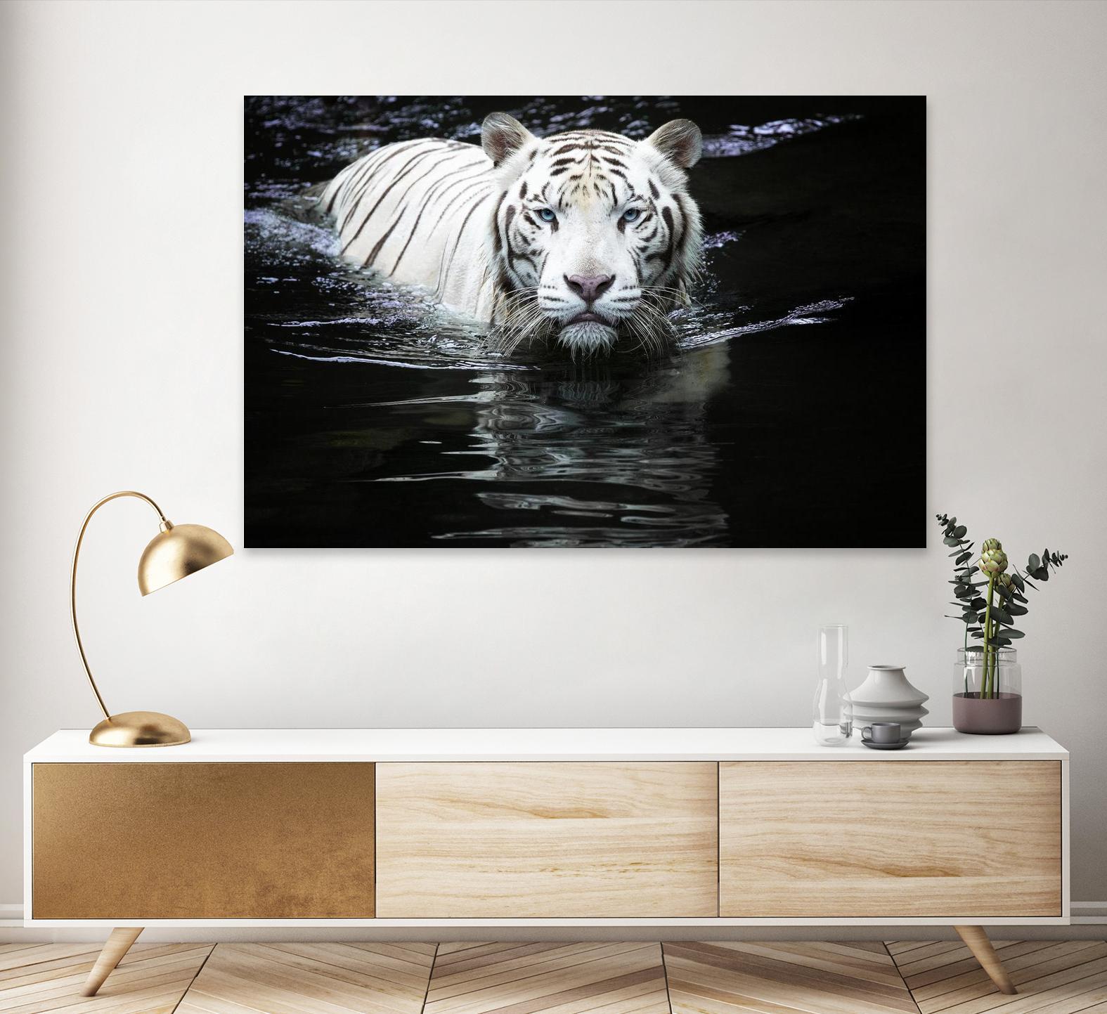 Doyle - Looking at Me Looking at You by 1X on GIANT ART - white photo art