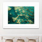 Wrobel - Gondwana by 1X on GIANT ART - green photo art