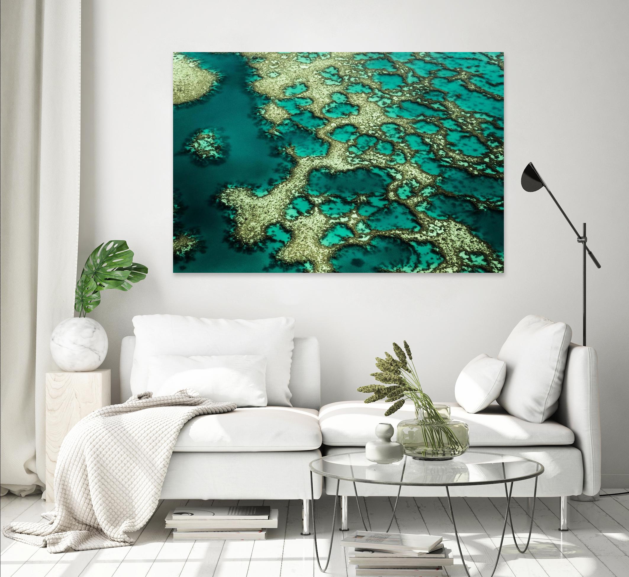 Wrobel - Gondwana by 1X on GIANT ART - green photo art