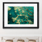 Wrobel - Gondwana by 1X on GIANT ART - green photo art