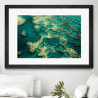 Wrobel - Gondwana by 1X on GIANT ART - green photo art