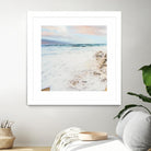 White Salty Shores by Bill Carson Photography on GIANT ART - coastal photography