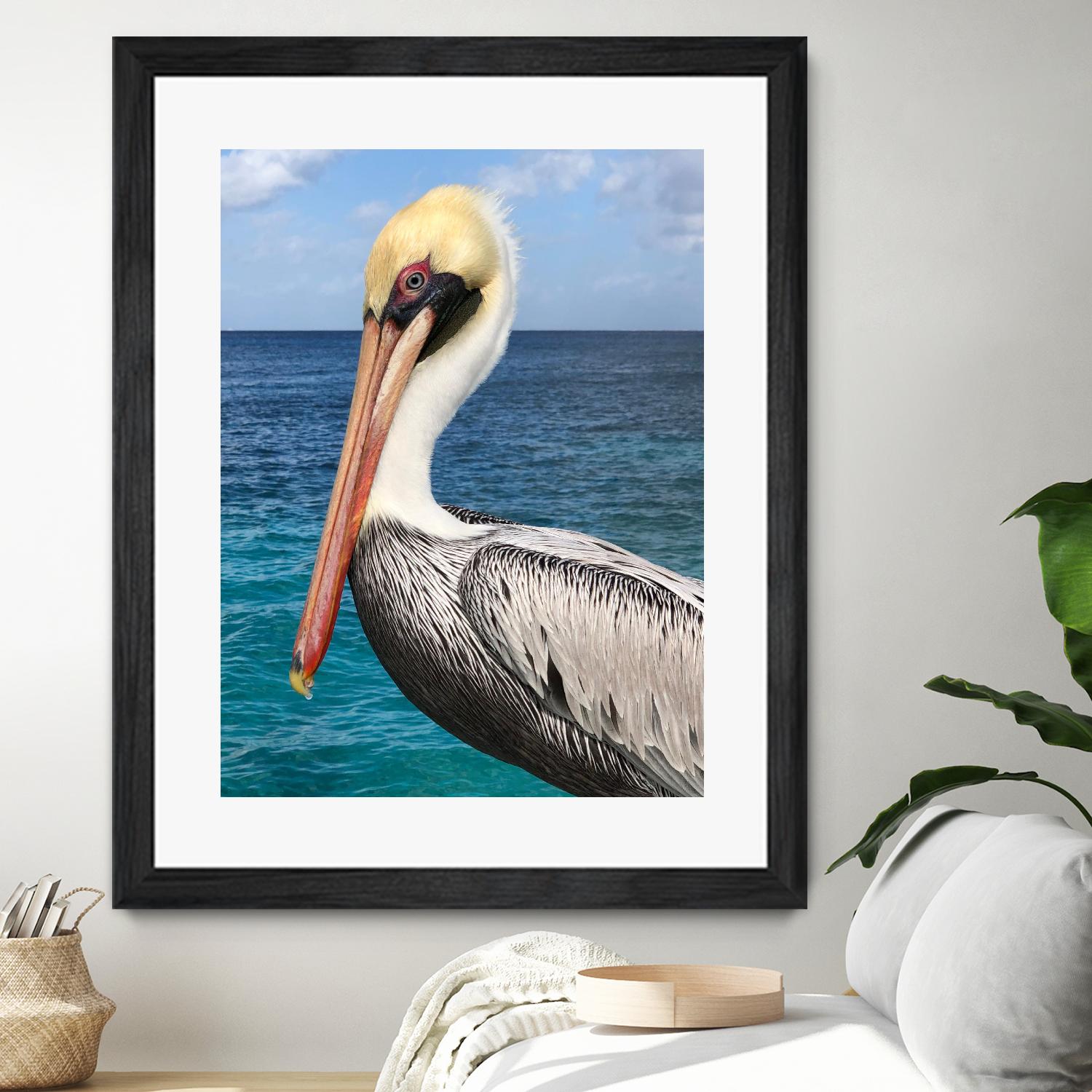 Pelican by Julie DeRice on GIANT ART - coastal photography