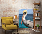 Pelican by Julie DeRice on GIANT ART - coastal photography