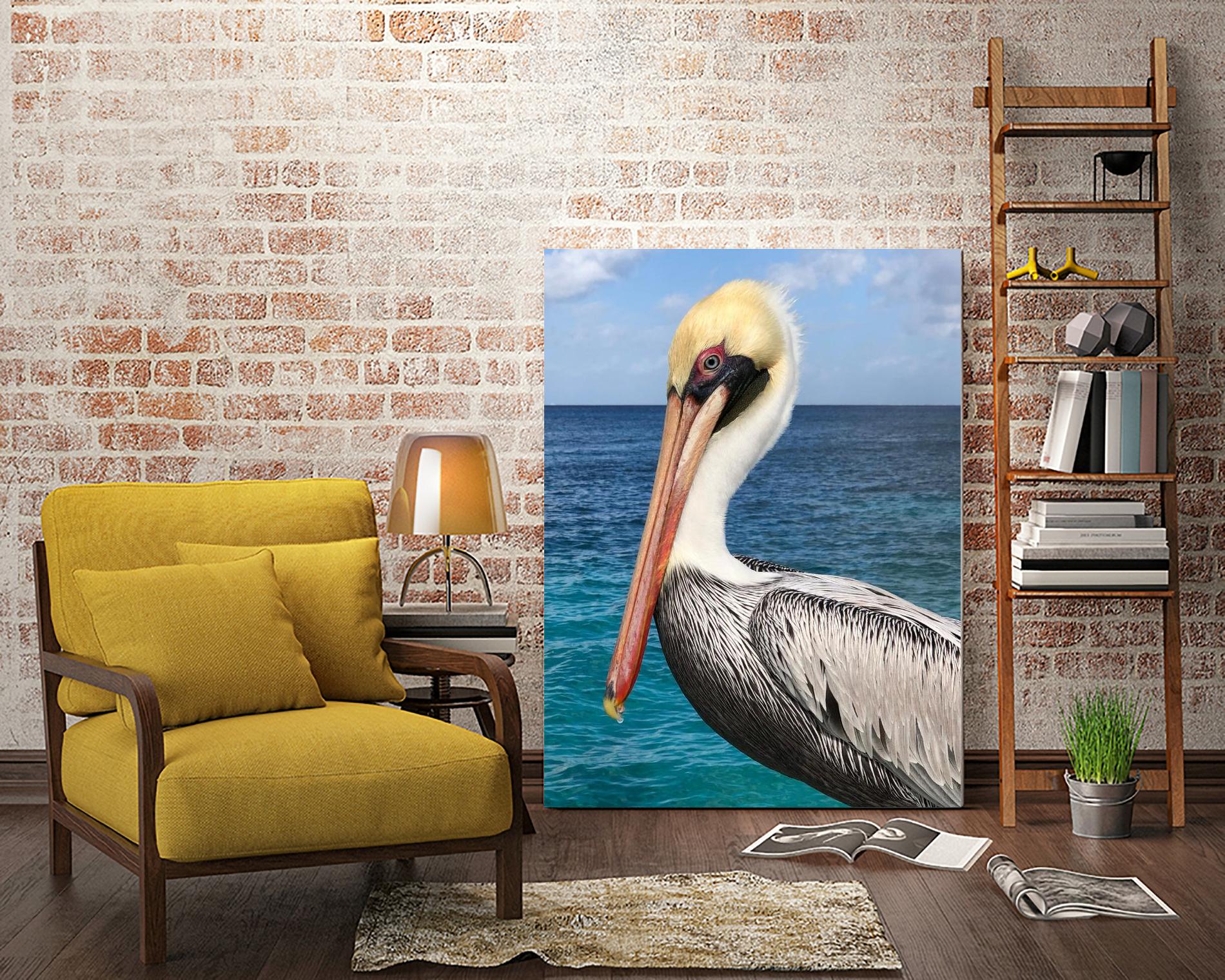 Pelican by Julie DeRice on GIANT ART - coastal photography