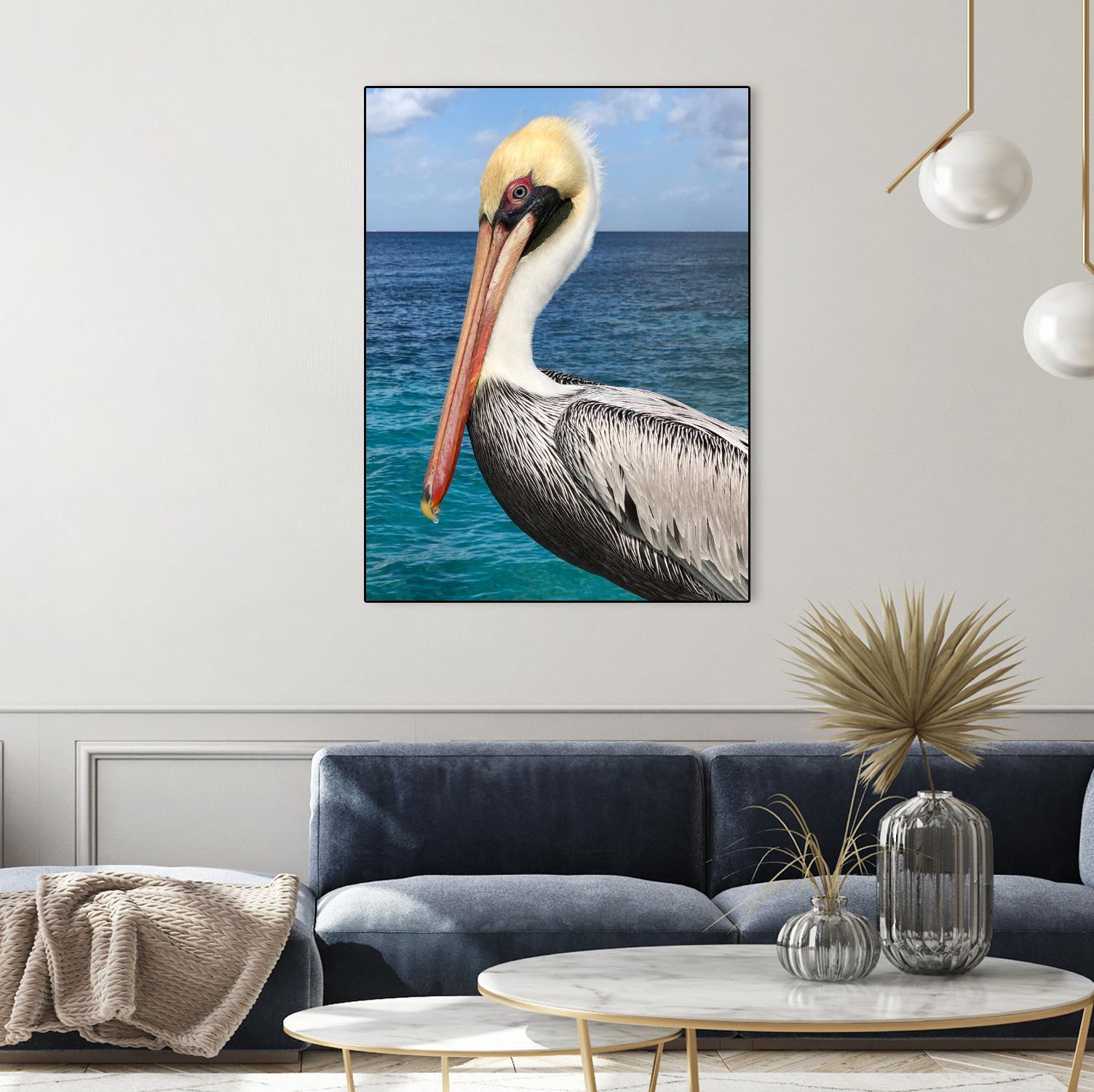 Pelican by Julie DeRice on GIANT ART - coastal photography