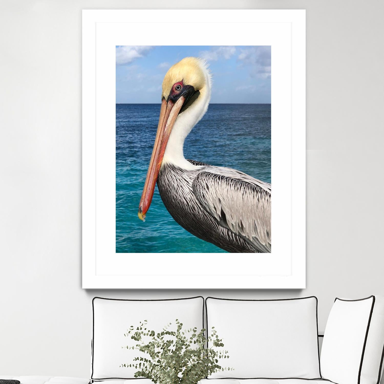 Pelican by Julie DeRice on GIANT ART - coastal photography