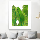 Jungle Leaves by Jen Bucheli on GIANT ART - floral leaves