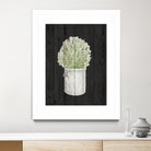 Herbs on Black Wood II by Janice Gaynor on GIANT ART - farm 