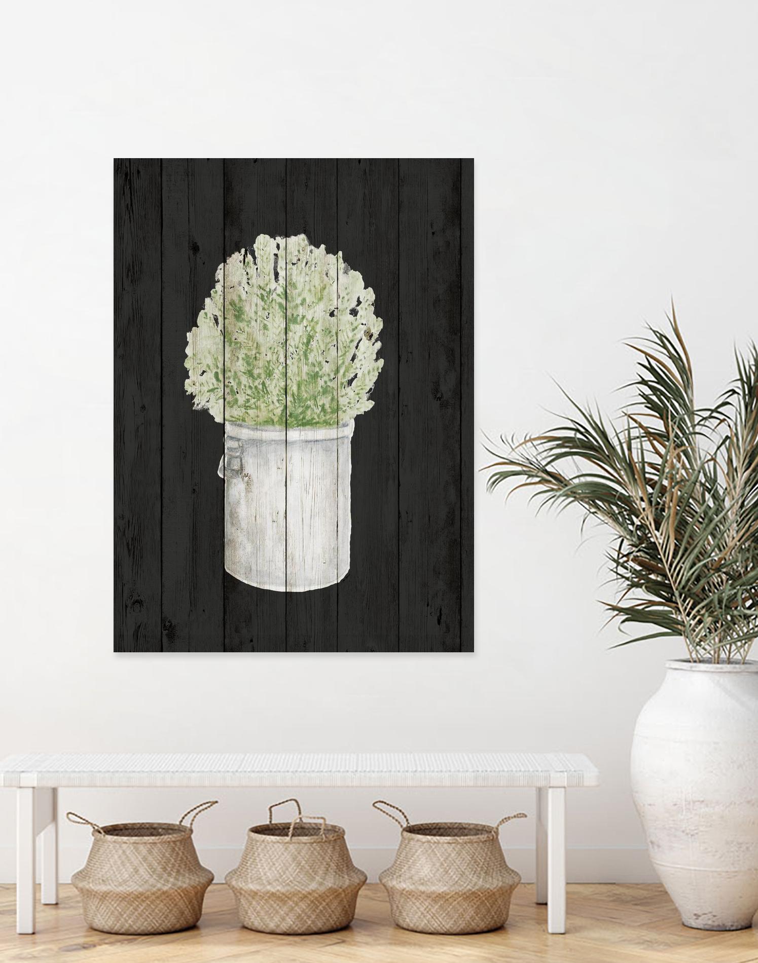 Herbs on Black Wood II by Janice Gaynor on GIANT ART - farm 