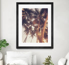 Vintage Palms by Acosta on GIANT ART - photography coastal
