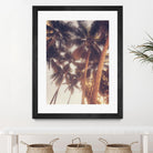Vintage Palms by Acosta on GIANT ART - photography coastal
