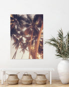 Vintage Palms by Acosta on GIANT ART - photography coastal