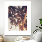 Vintage Palms by Acosta on GIANT ART - photography coastal