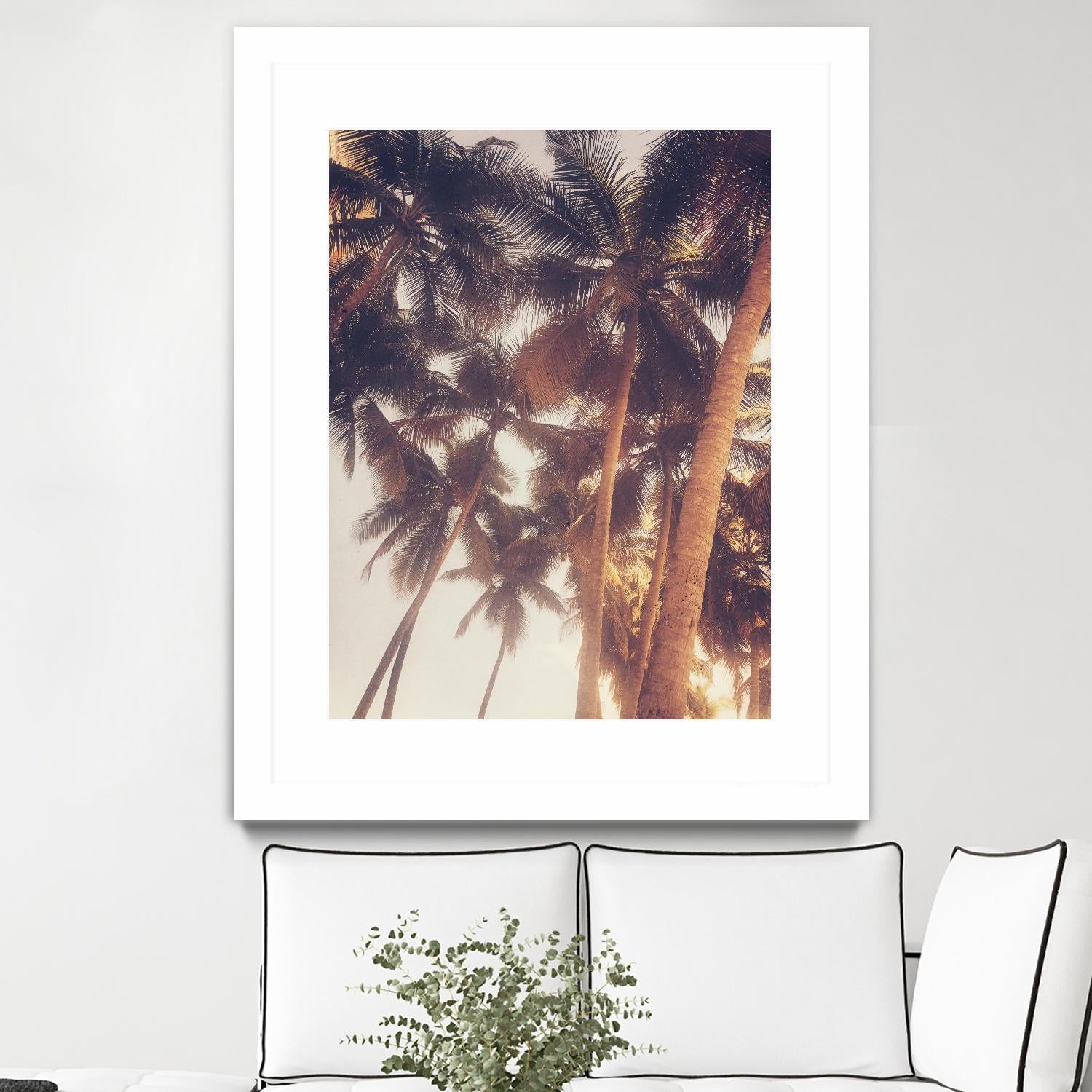 Vintage Palms by Acosta on GIANT ART - photography coastal