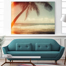 Single Palm by Acosta on GIANT ART - multi photography