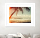 Single Palm by Acosta on GIANT ART - multi photography