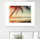 Single Palm by Acosta on GIANT ART - multi photography