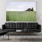 Summer Feel by Nancy Crowell on GIANT ART - grey photo art