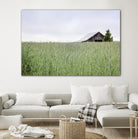 Summer Feel by Nancy Crowell on GIANT ART - grey photo art