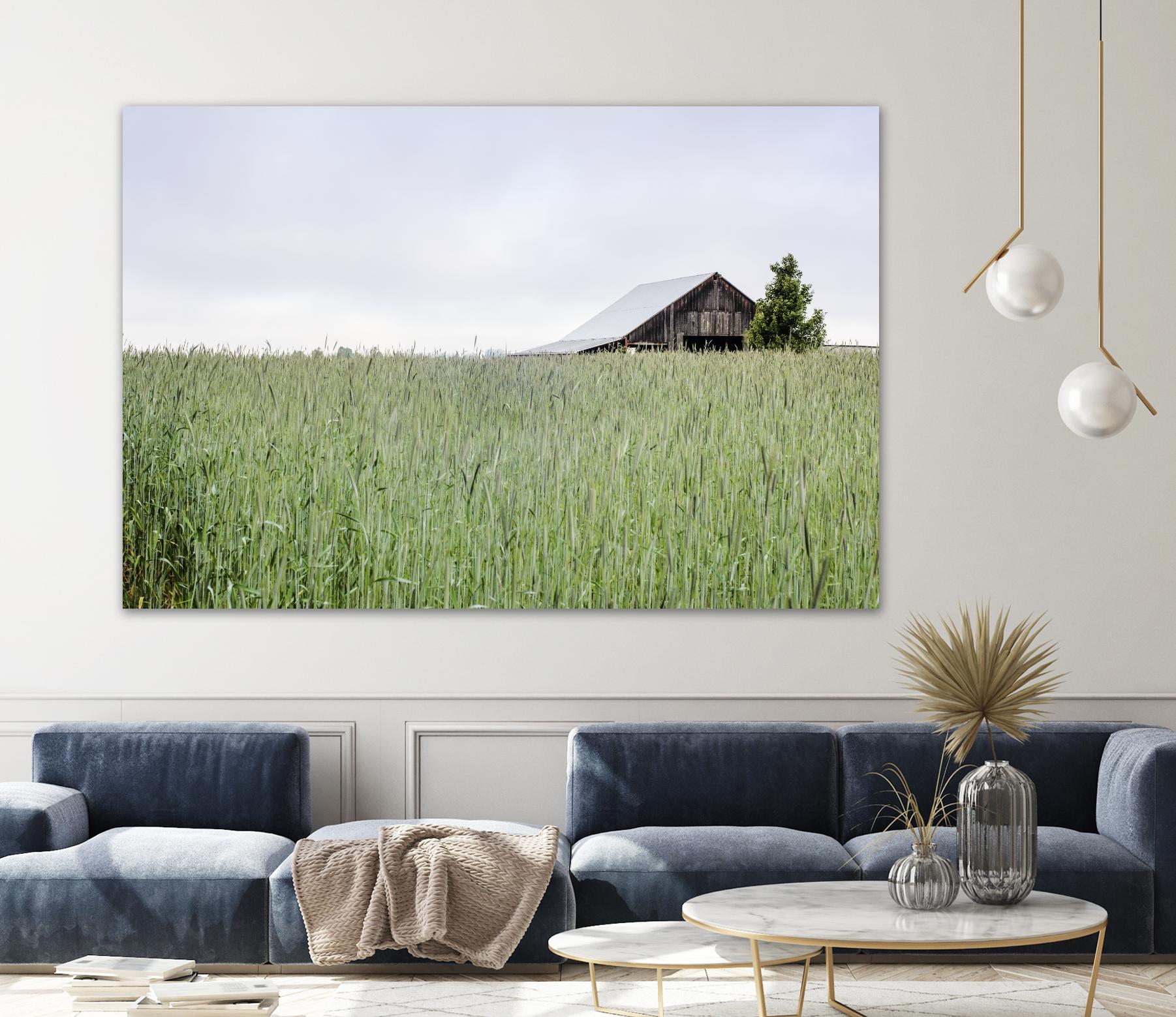 Summer Feel by Nancy Crowell on GIANT ART - grey photo art