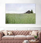 Summer Feel by Nancy Crowell on GIANT ART - grey photo art