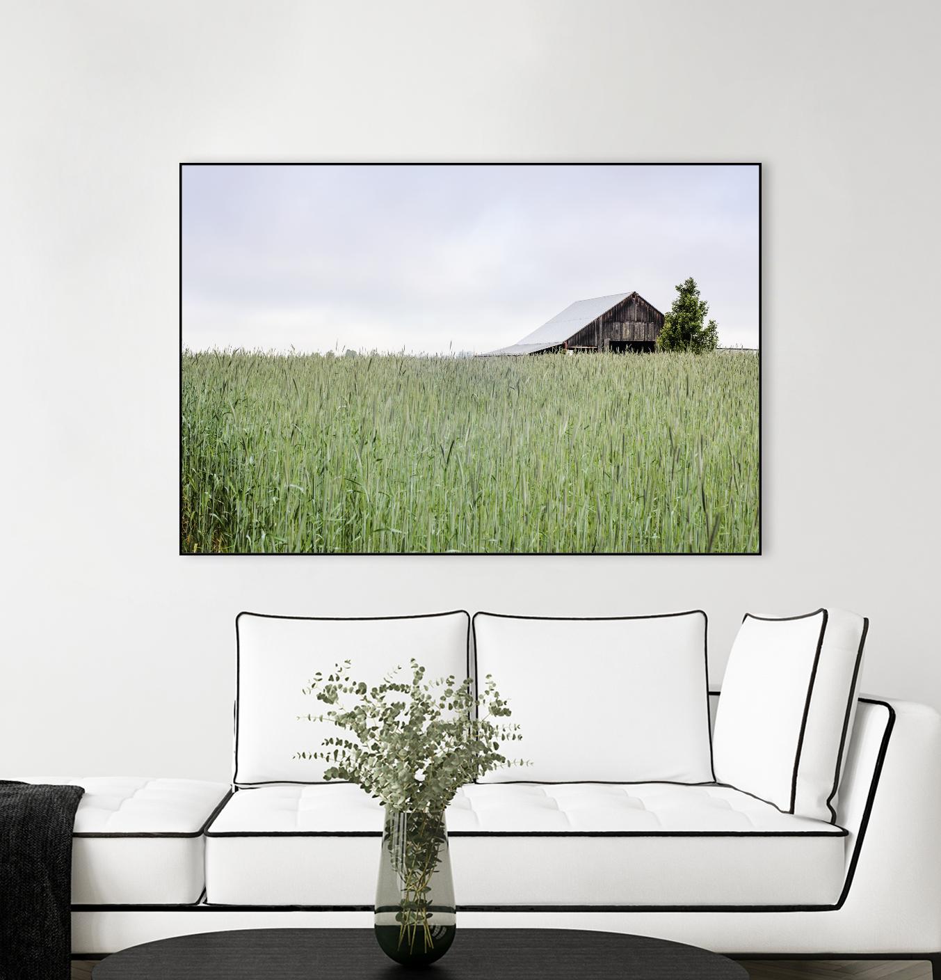Summer Feel by Nancy Crowell on GIANT ART - grey photo art