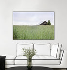 Summer Feel by Nancy Crowell on GIANT ART - grey photo art