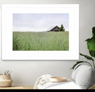 Summer Feel by Nancy Crowell on GIANT ART - grey photo art