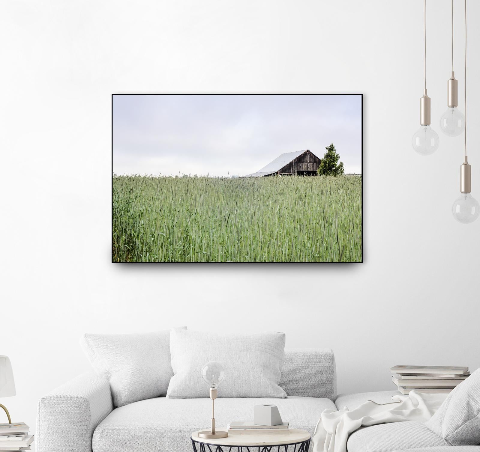 Summer Feel by Nancy Crowell on GIANT ART - grey photo art