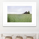 Summer Feel by Nancy Crowell on GIANT ART - grey photo art