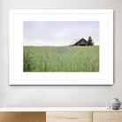 Summer Feel by Nancy Crowell on GIANT ART - grey photo art