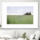Summer Feel by Nancy Crowell on GIANT ART - grey photo art