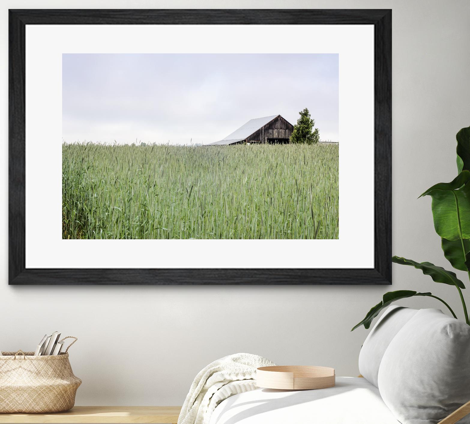 Summer Feel by Nancy Crowell on GIANT ART - grey photo art